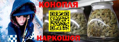 сатива Кимры