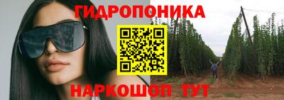 сатива Кимры