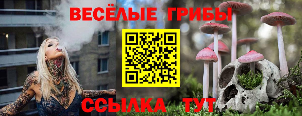 Галлюциногенные грибы мухоморы  Вход с VPN  Псилоцибиновые грибы GOLDEN TEACHER  Крымск 