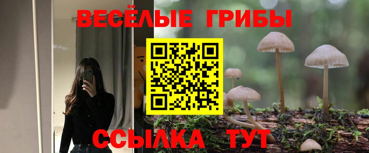 Галлюциногенные грибы Psilocybe Крымск